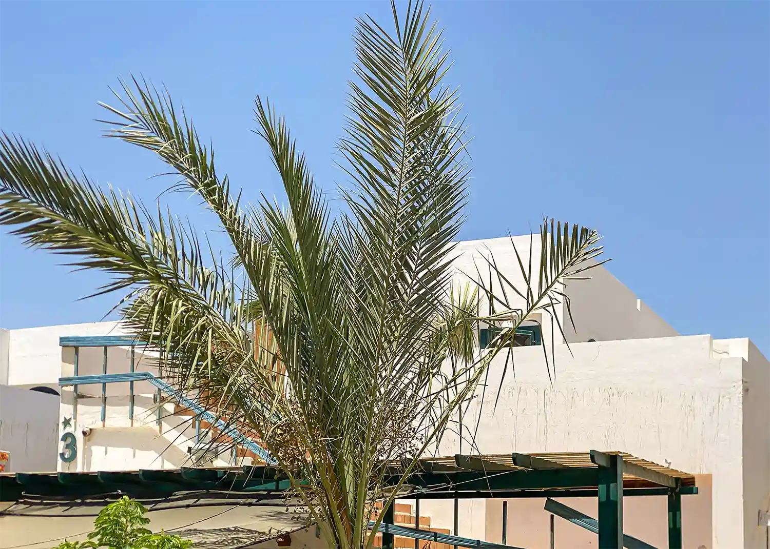 Blue Hole Plaza – The building